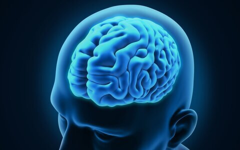 Мозг сбрасывает десятилетия: сон и правильное питание запускают тайный механизм омоложения