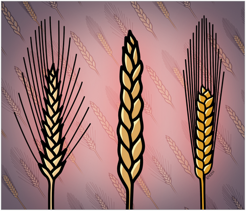 Чувствительность к глютену без целиакии: новое исследование объясняет, почему каждый десятый человек жалуется на «непереносимость» глютена