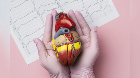 «Солнечный» щит для сердца: как контроль витамина D снижает риск повторного инфаркта на 52%