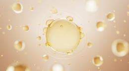 Парадокс витамина C: почему эволюция «отключила» его выработку — и как это спасло наших предков от паразитов