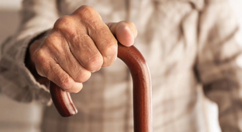 Сложные углеводы — не «враг фигуры», а щит от старения: диетолог раскрыла их ключевую роль