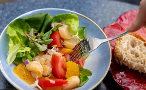 Метод деления тарелки: как похудеть без подсчёта калорий — пошагово и с пользой для здоровья